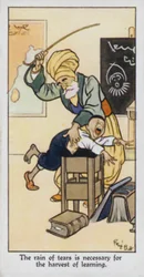 Der Regen der Tränen ist notwendig für die Ernte des Lernens